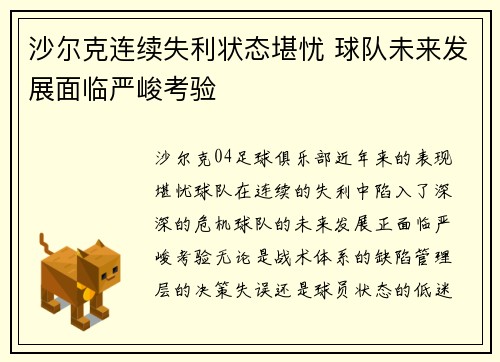 沙尔克连续失利状态堪忧 球队未来发展面临严峻考验