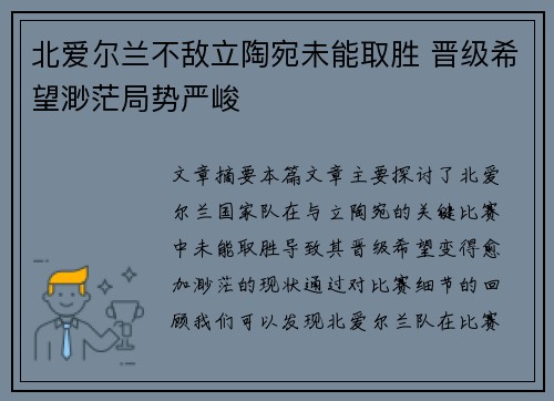 北爱尔兰不敌立陶宛未能取胜 晋级希望渺茫局势严峻